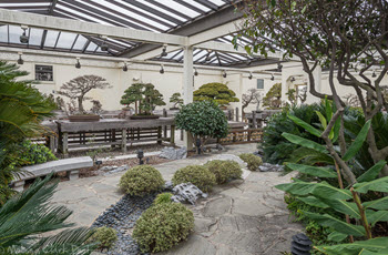 United States National Bonsai and Penjing Museum