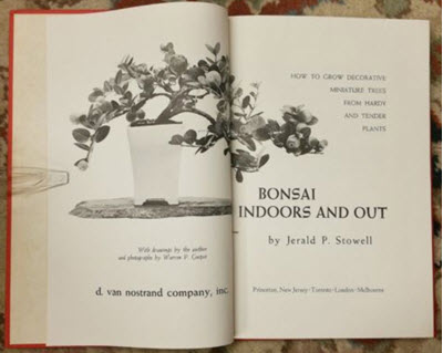 bonsai indoors